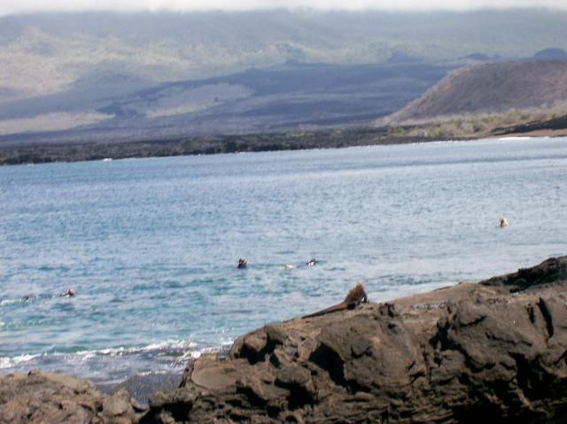 5 Snorkelers, Ships - 100_0662 - 12.26.06 11.55