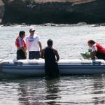 5 Zodiac - 100_0651 - 12.26.06 11.43
