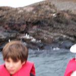 6 Blurred Distant Penguins - 100_0820 - 12.26.06 18.38