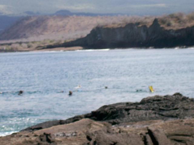 6 Snorkelers Out Of Focus - 100_0673 - 12.26.06 12.00