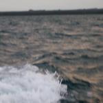 7 DELETE - 100_0869 - 12.26.06 18.55