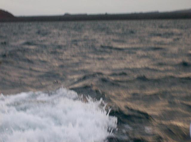 7 DELETE - 100_0869 - 12.26.06 18.55