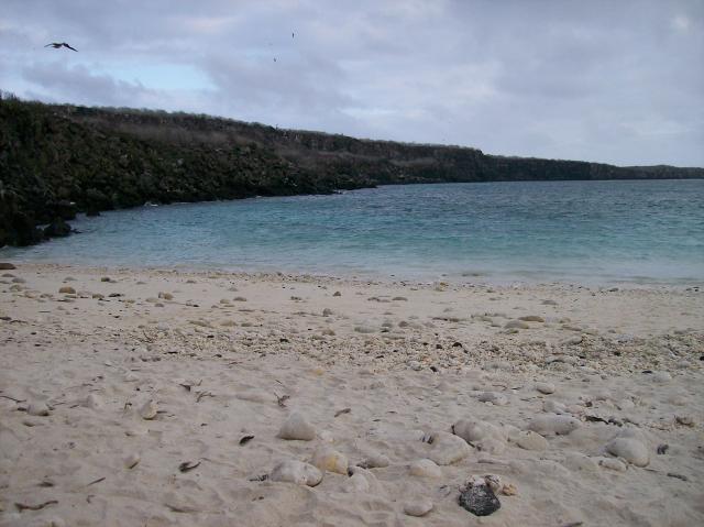3 Sand Water Land - 100_0973 - 12.27.06 18.06
