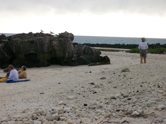 4 Beach - 100_0977 - 12.27.06 18.06