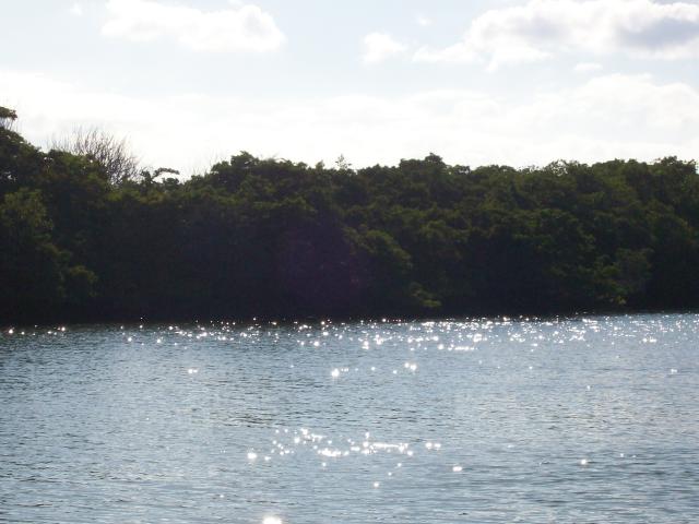 100_1043