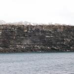 4 Layered Rock - 100_0917 - 12.27.06 16.05