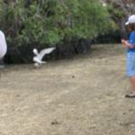 5 Bird Blurred - 100_0945 - 12.27.06 17.34