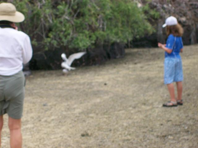 5 Bird Blurred - 100_0945 - 12.27.06 17.34
