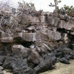 5 Layered Rock, Chunky - 100_0943 - 12.27.06 17.33