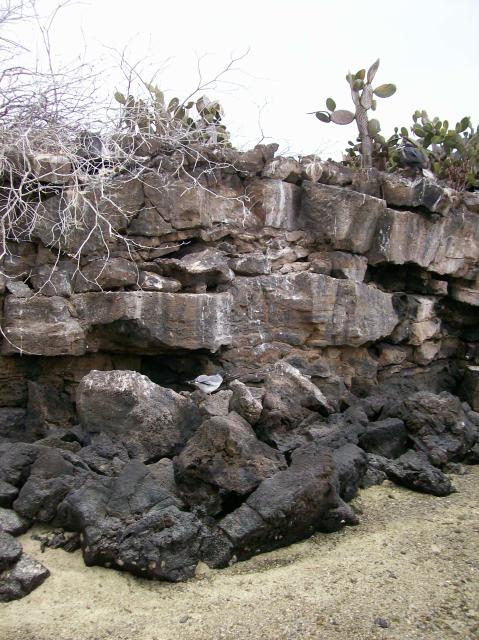 5 Layered Rock, Chunky - 100_0943 - 12.27.06 17.33