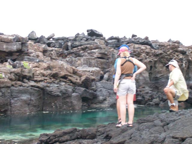 5 Pool, Rocks - 100_0950 - 12.27.06 17.40