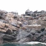 6 Pool Rocks Blurred - 100_0959 - 12.27.06 17.51