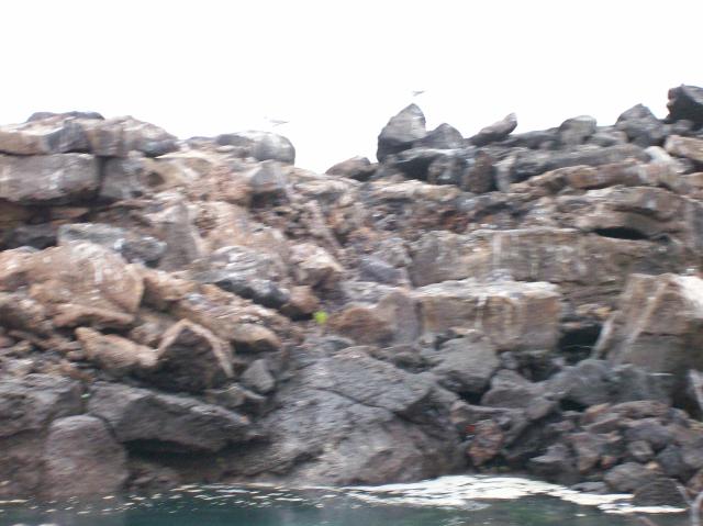 6 Pool Rocks Blurred - 100_0959 - 12.27.06 17.51