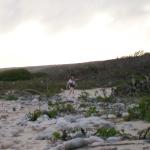 6 Sheer Returns Blurred - 100_1017 - 12.27.06 18.25