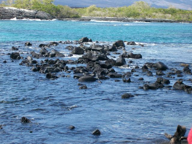 3 Rocks In Water - 100_1126 - 12.28.06 12.23