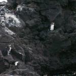 4 Penguins - 100_1136 - 12.28.06 18.02