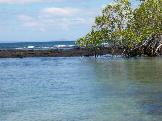 4 Water Rock Water - 100_1112 - 12.28.06 11.36