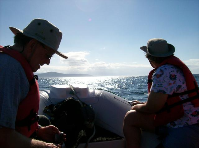 5 Dolphin Quest - 100_1076 - 12.28.06 09.37