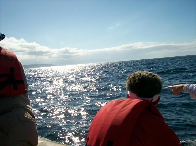 5 Dolphin Quest - 100_1092 - 12.28.06 09.50