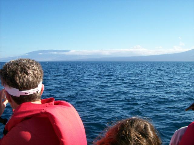 5 Dolphins - 100_1072 - 12.28.06 09.34