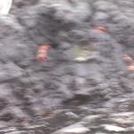 6 Crabs Blurred - 100_1153 - 12.28.06 18.05