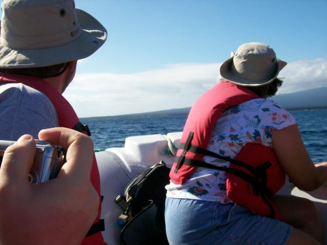 6 Dolphin Quest - 100_1081 - 12.28.06 09.44