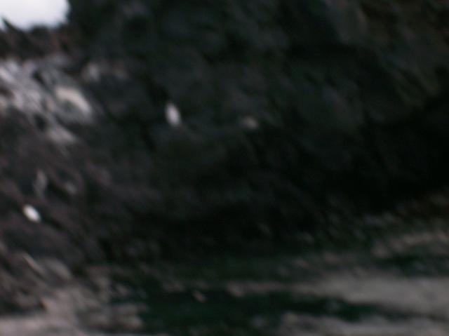 7 DELETE - 100_1135 - 12.28.06 18.02