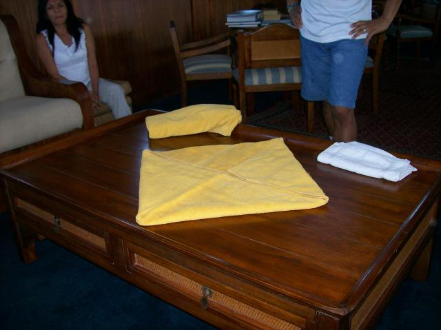 3 Towels 2C - 100_1184 - 12.29.06 15.53