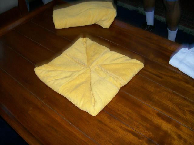 3 Towels 2F - 100_1187 - 12.29.06 15.55