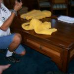 4 Towels 1D - 100_1178 - 12.29.06 15.51