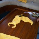 4 Towels 5F - 100_1227 - 12.29.06 16.18