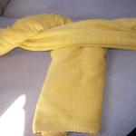 4 Towels 6F - 100_1235 - 12.29.06 16.23