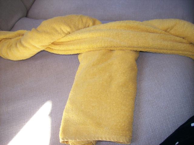 4 Towels 6F - 100_1235 - 12.29.06 16.23