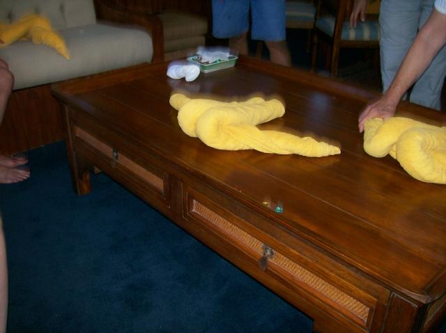 4 Towels 6G - 100_1236 - 12.29.06 16.23
