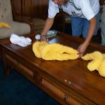 5 Towels 6H - 100_1237 - 12.29.06 16.24