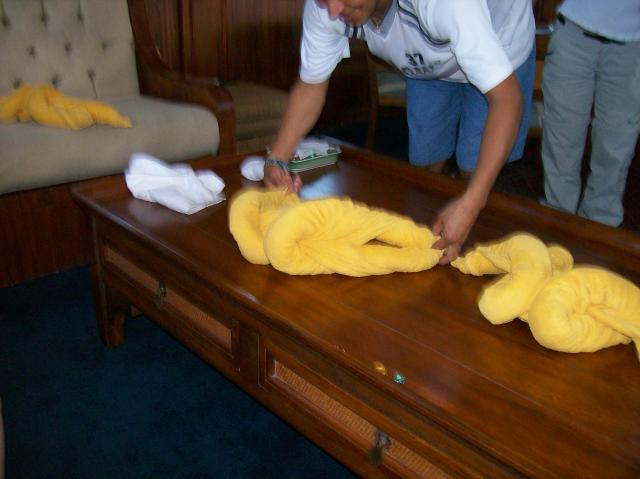 5 Towels 6H - 100_1237 - 12.29.06 16.24