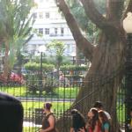 3 Park - 100_1280 - 12.30.06 17.07