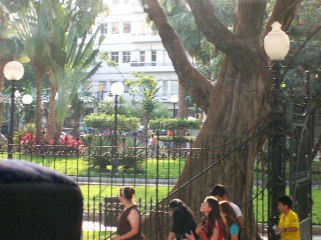 3 Park - 100_1280 - 12.30.06 17.07