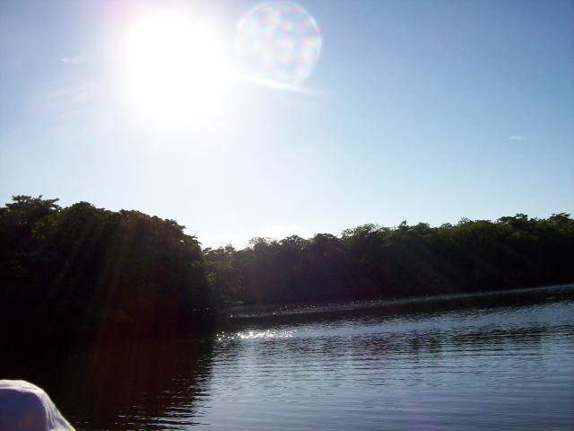 100_1074
