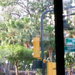 5 Park - 100_1281 - 12.30.06 17.08