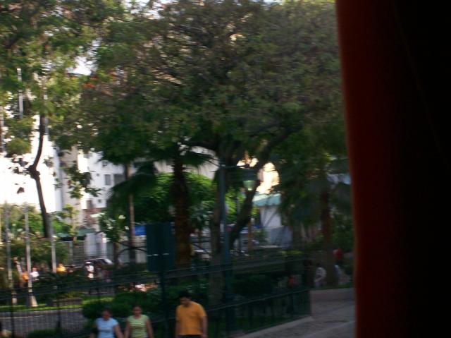 5 Park - Crop - 100_1259 - 12.30.06 16.59