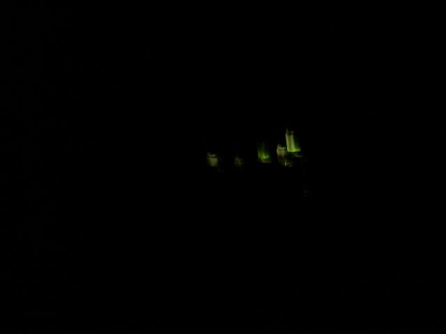 4 Those Green Lights - 101_0422 - 1.3.07 01.12