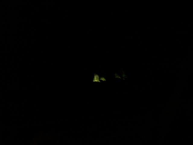 5 Those Green Lights - 101_0423 - 1.3.07 01.12