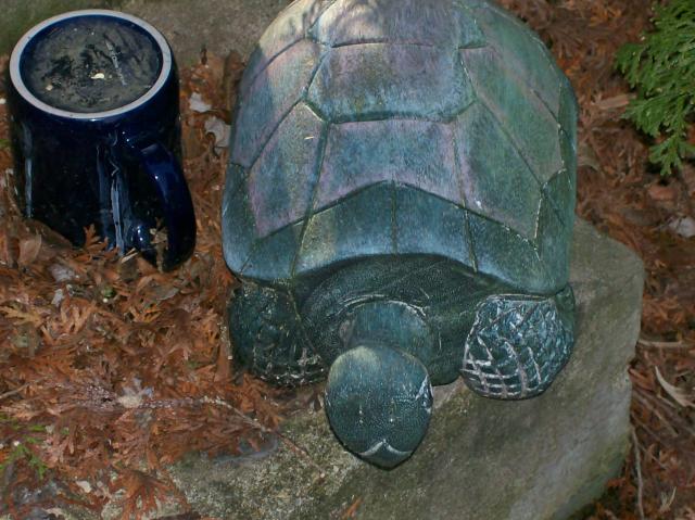 3 Big Turtle - 101_0427 - 1.4.07 15.21