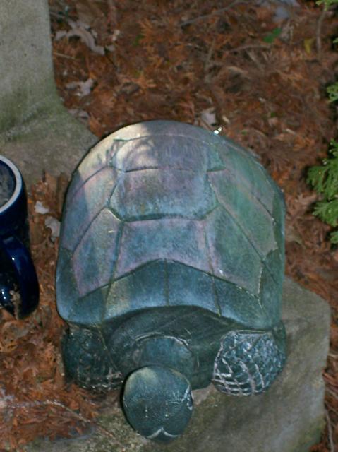 4 Big Turtle - 101_0428 - 1.4.07 15.22