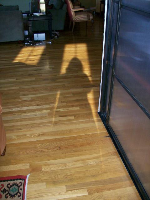 4 My Shadow - 101_0450