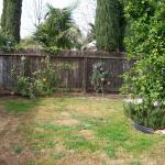 3 Back Yard - 101_0437