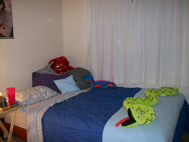 3 Bedroom - 101_0436