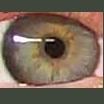 2007-01-16_HairCut_101_0492_iris2