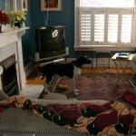 3 Sacha Living Room - 101_0474